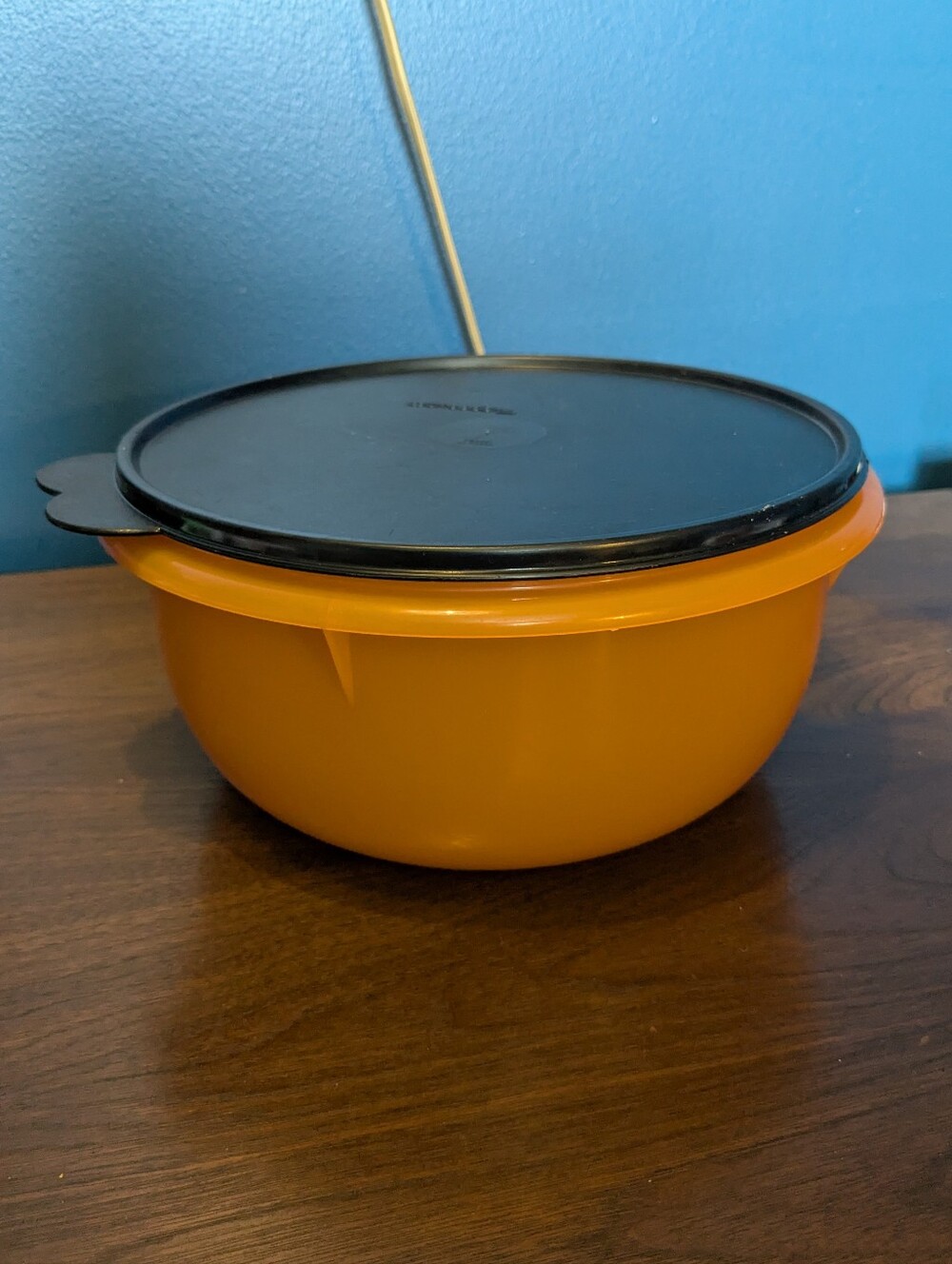 Orange And Black Tupperware Bowl
